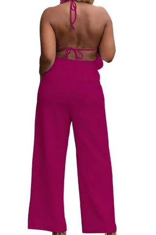 Raspberries 102610 - fuchsia pink