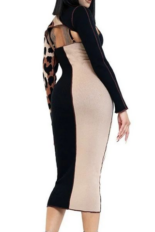 style 100108 - leopard print multicolor